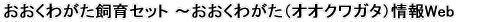 �������킪������Z�b�g �`�������킪���i�I�I�N���K�^�j���Web