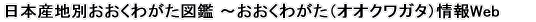 ���{�Y�n�ʂ������킪���}�� �`�������킪���i�I�I�N���K�^�j���Web