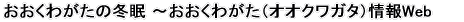 �������킪���̓~�� �`�������킪���i�I�I�N���K�^�j���Web
